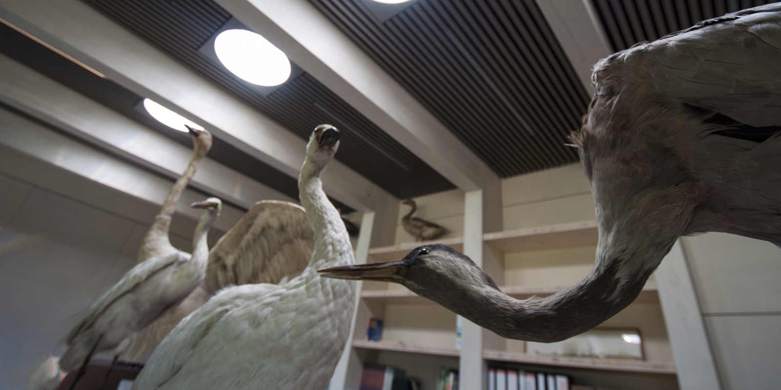 Museo illuminato con Solatube