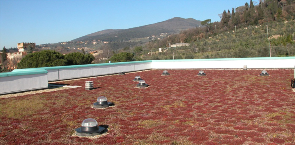 progetto ospedaliero meyer 2
