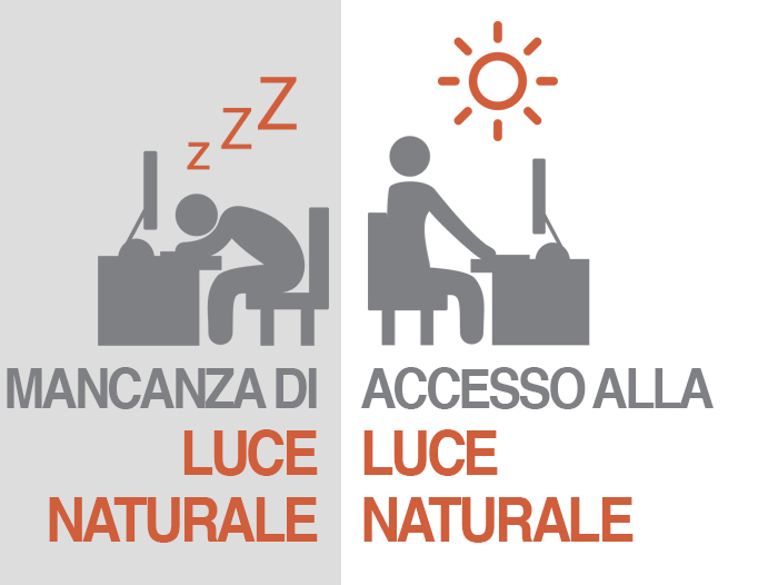 la luce naturale migliora la vita