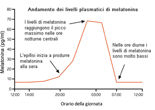 Melatonina ritmo circadiano