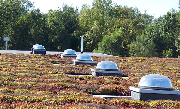 Curb mount flashing rooftop garden example
