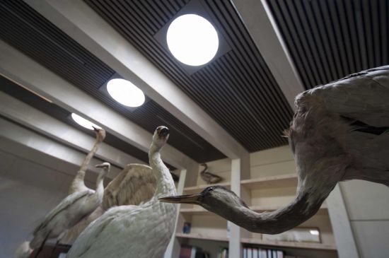 Museo illuminato con Solatube
